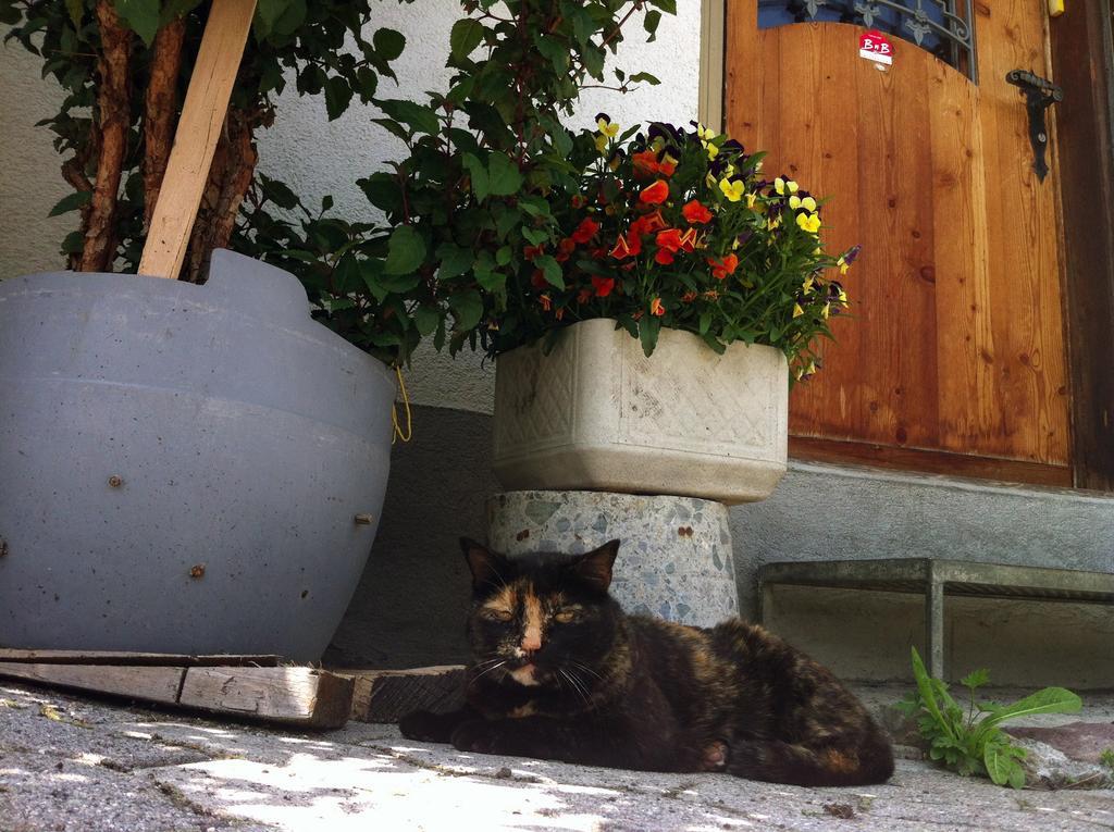 Bnb Guesthouse Lusi Frauenkirch Bagian luar foto