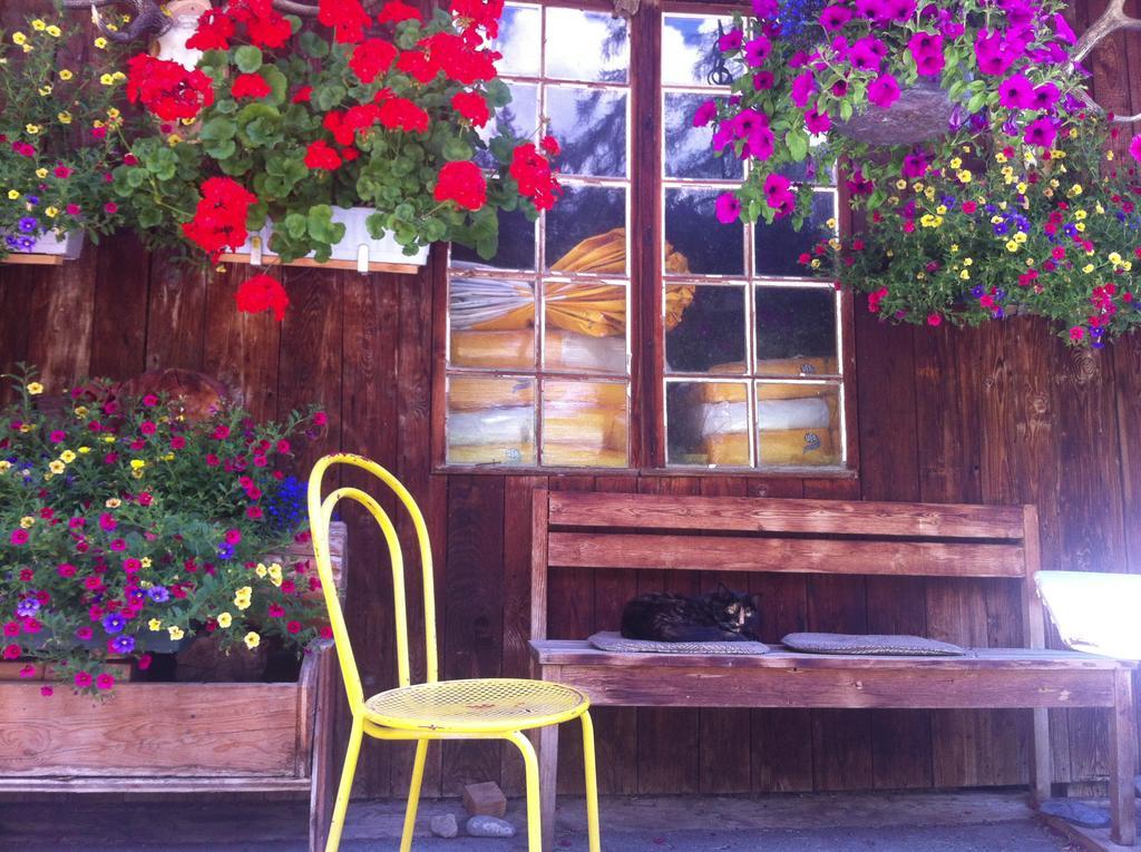 Bnb Guesthouse Lusi Frauenkirch Bagian luar foto